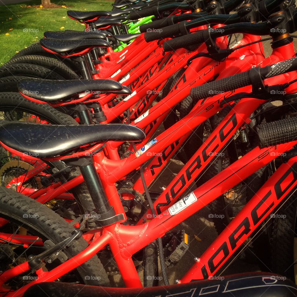 Red Bicycles