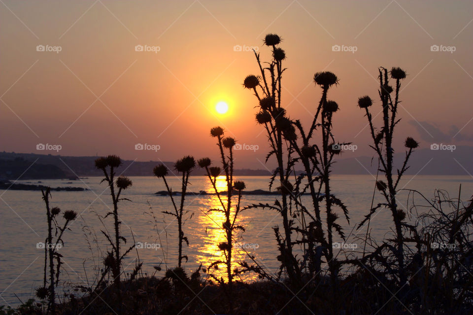 beach sky sunset colour by vienesse