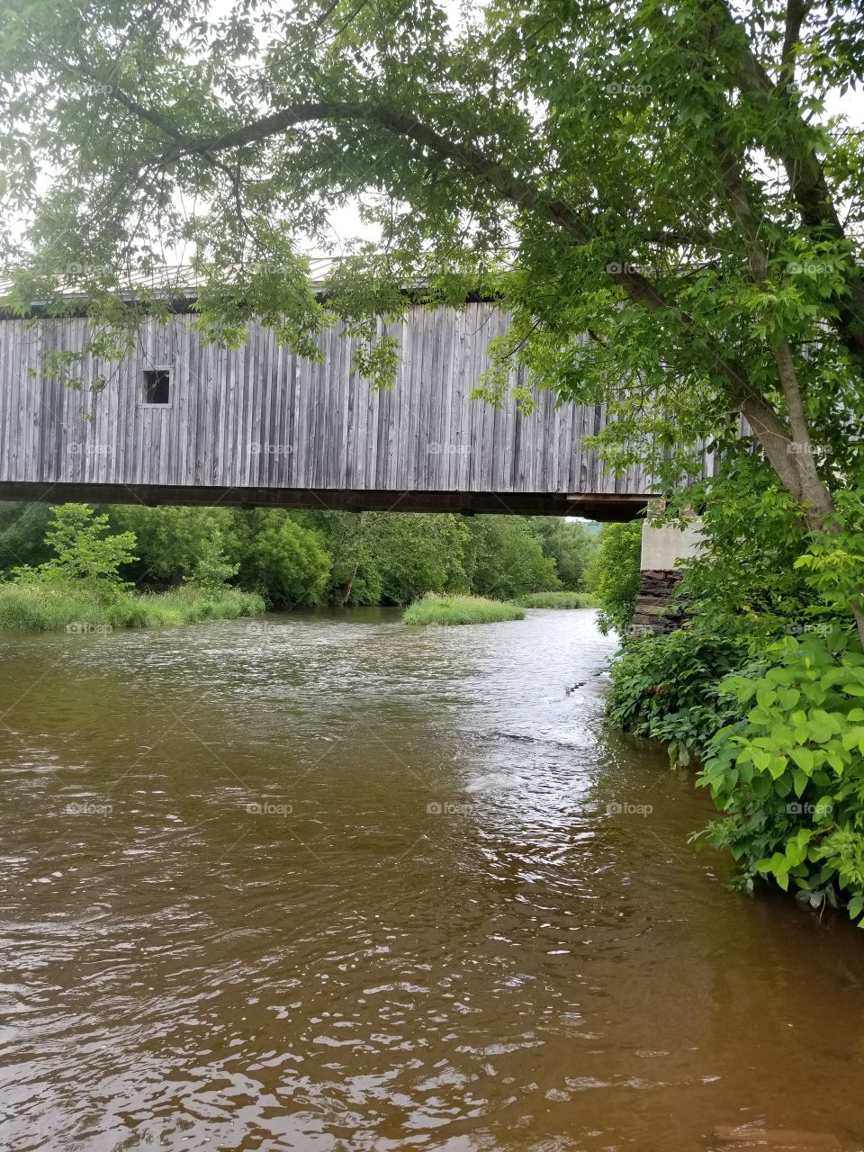 Water, River, Wood, Bridge, Nature