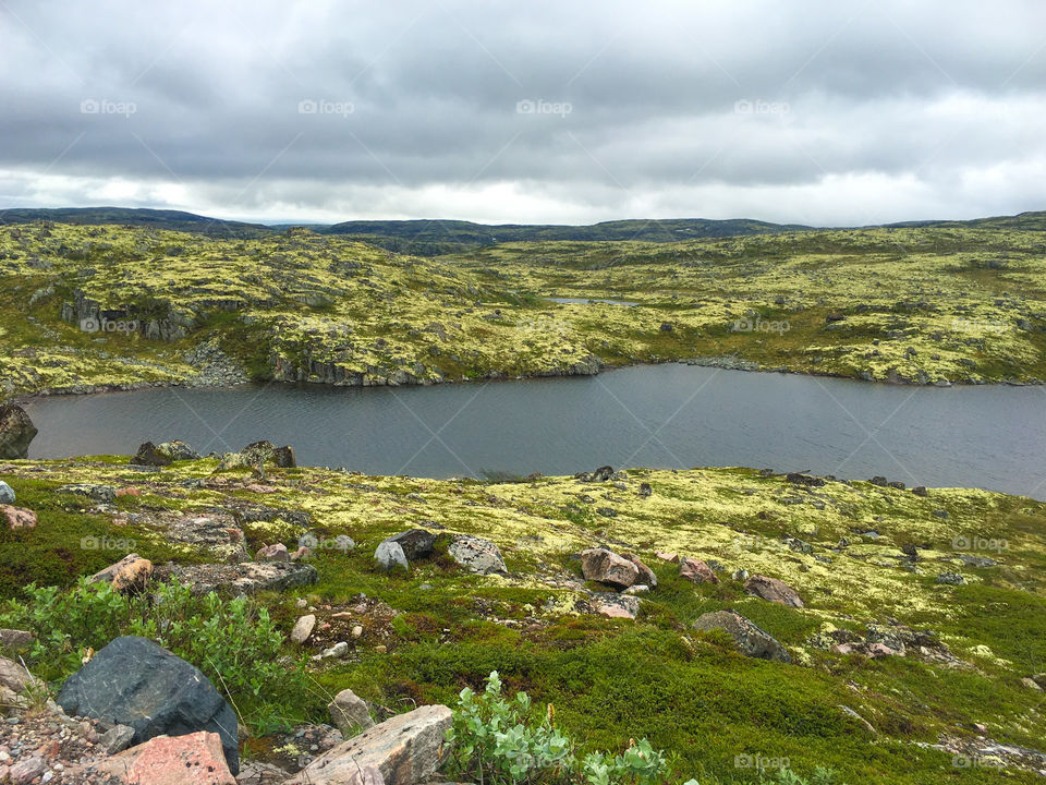 Lake in tundra 