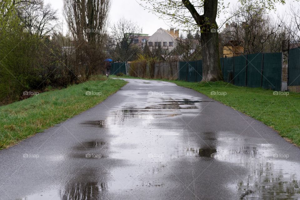 rain on the street