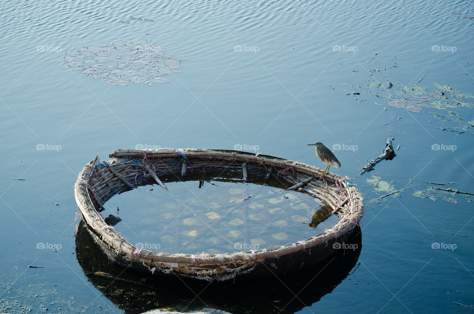 A bird and a coracle in a lake