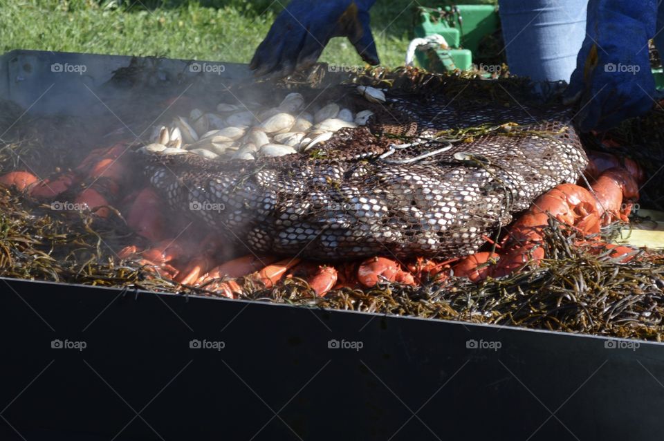 Lobster bake in Maine