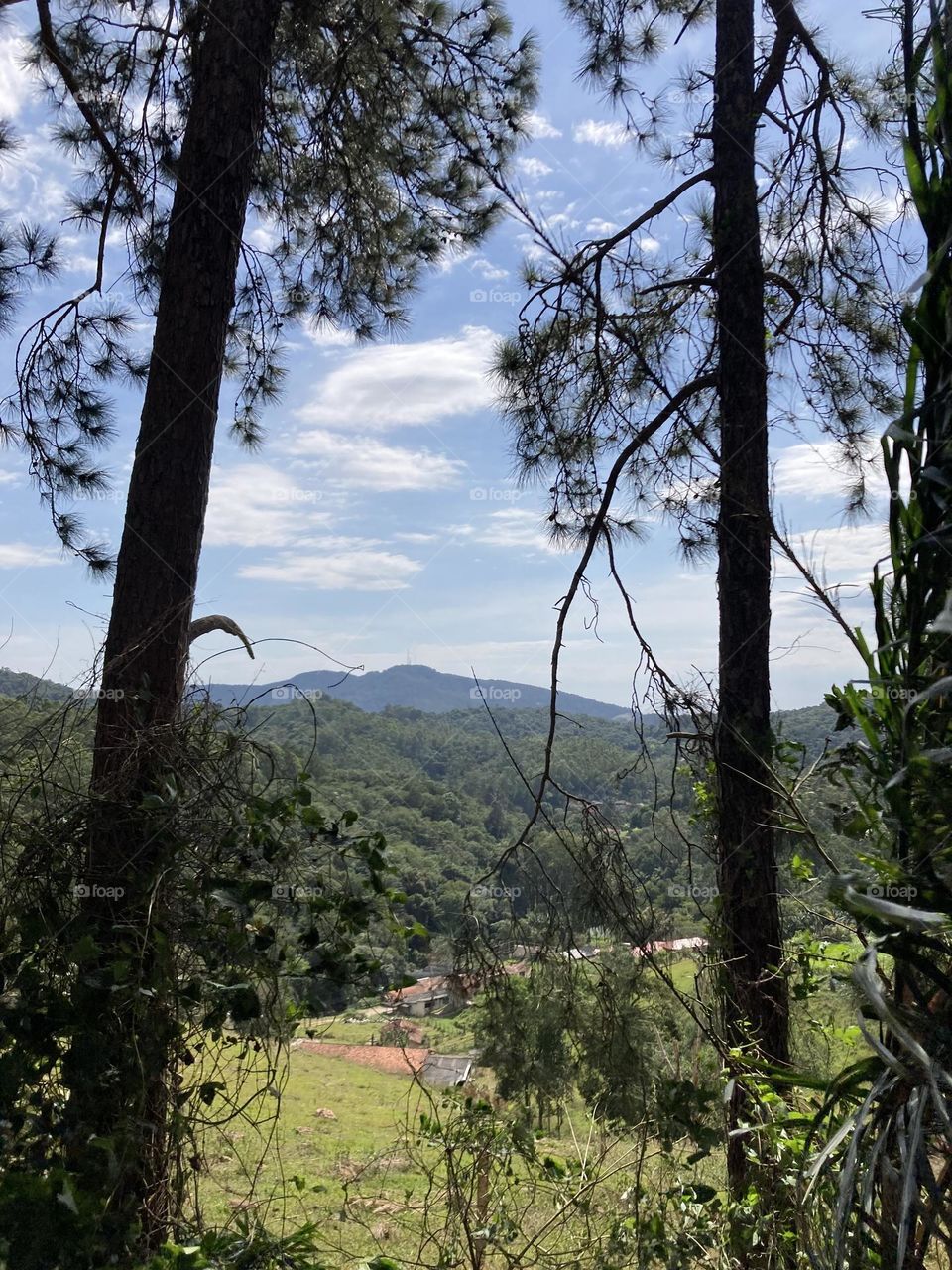 
🌄🇺🇸 An extremely beautiful dawn in Jundiaí interior of Brazil. Cheer the nature! / 🇧🇷 Um amanhecer extremamente bonito em Jundiaí, interior do Brasil. Viva a natureza! 