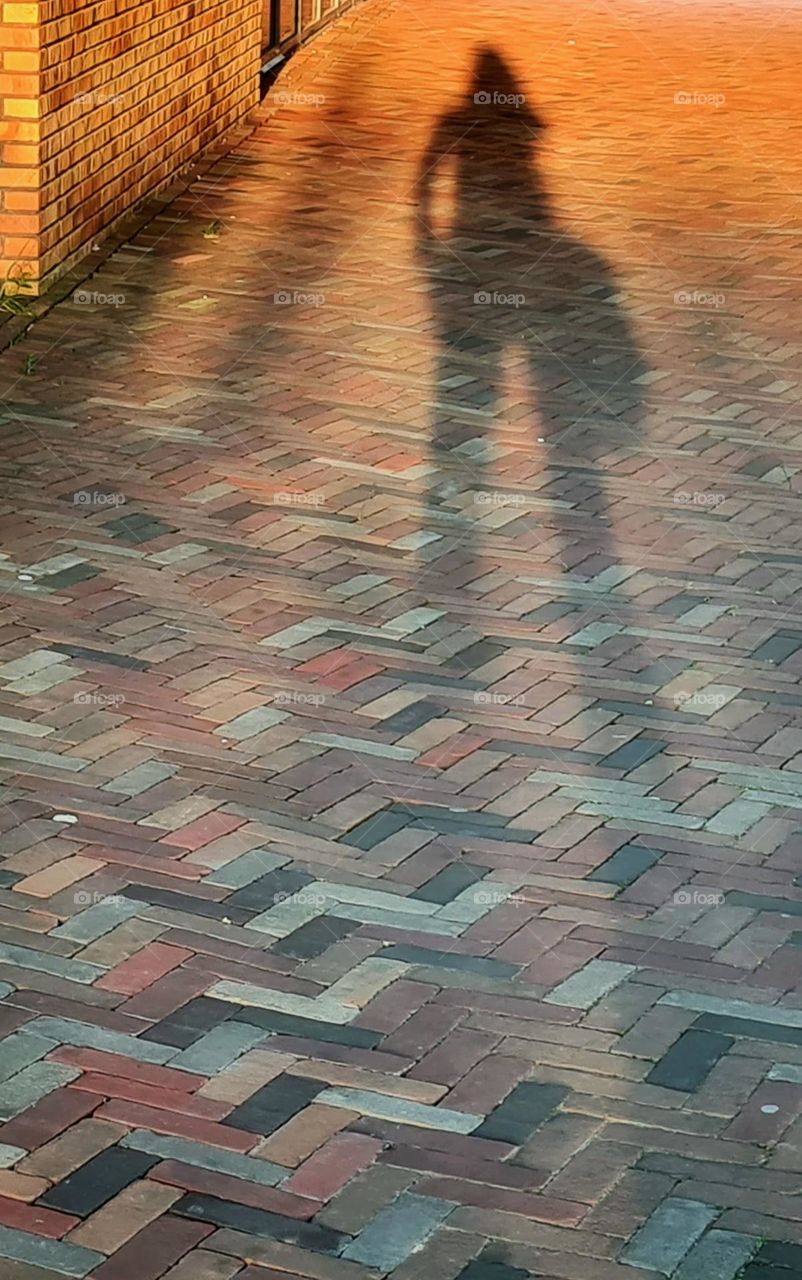 Sunset shadow