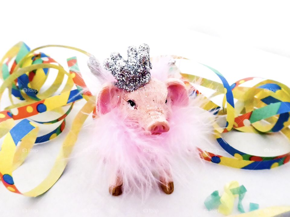 New Year pig