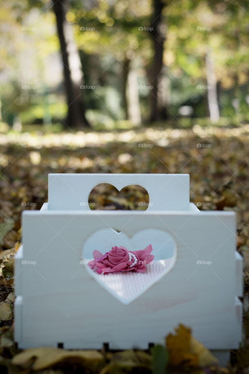 baby accessories. baby accessories in autumn leaves in park