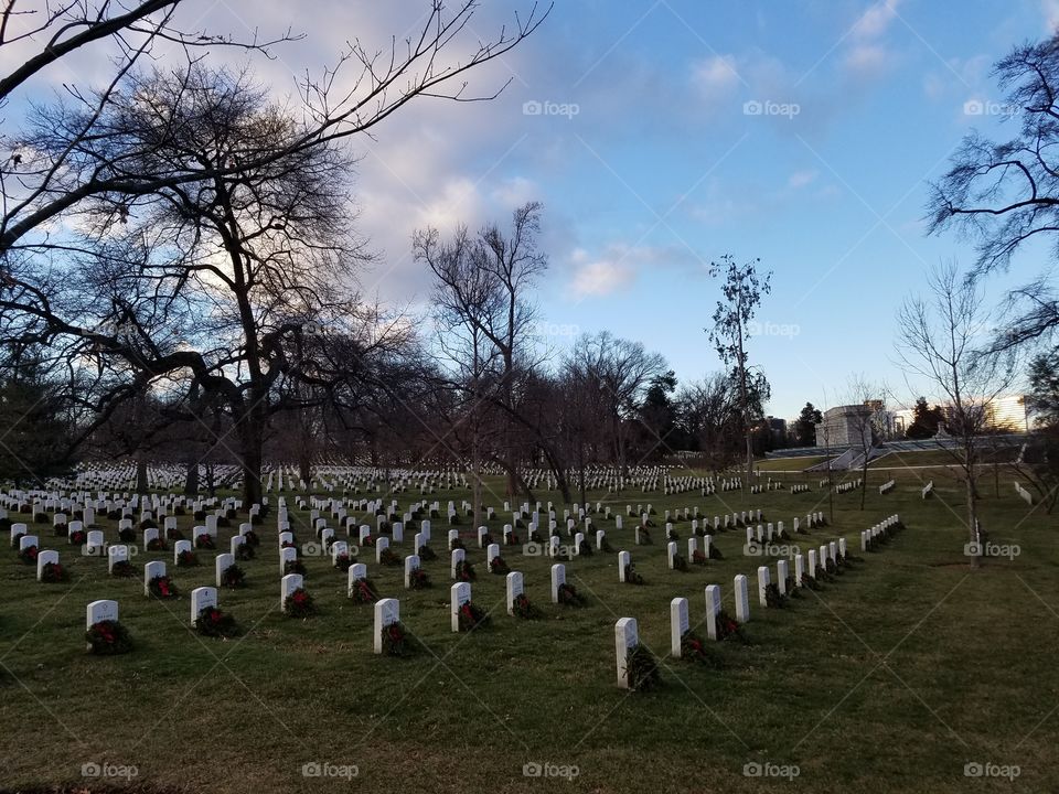 Arlington national cemetery