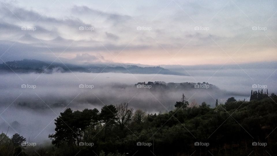 Scenic view of trees on landscape during foggy weather