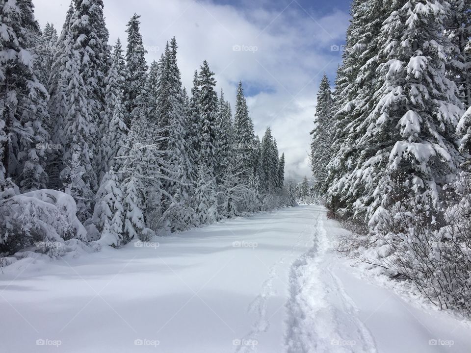 Banff National Park - Canada