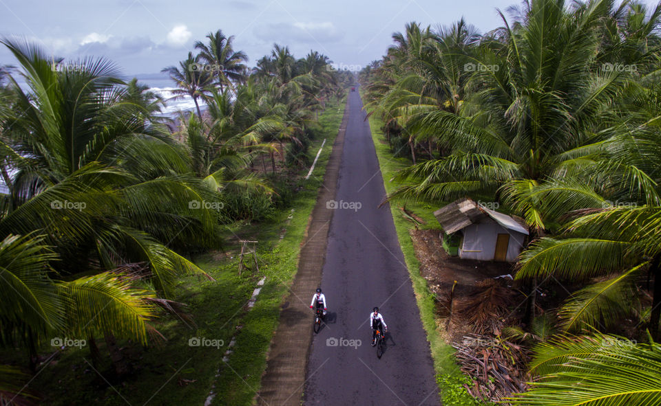 cycling on the edge of the beach full of coconut trees