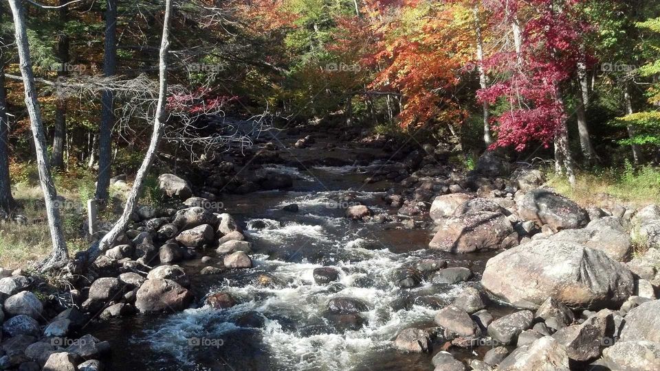 Fall stream