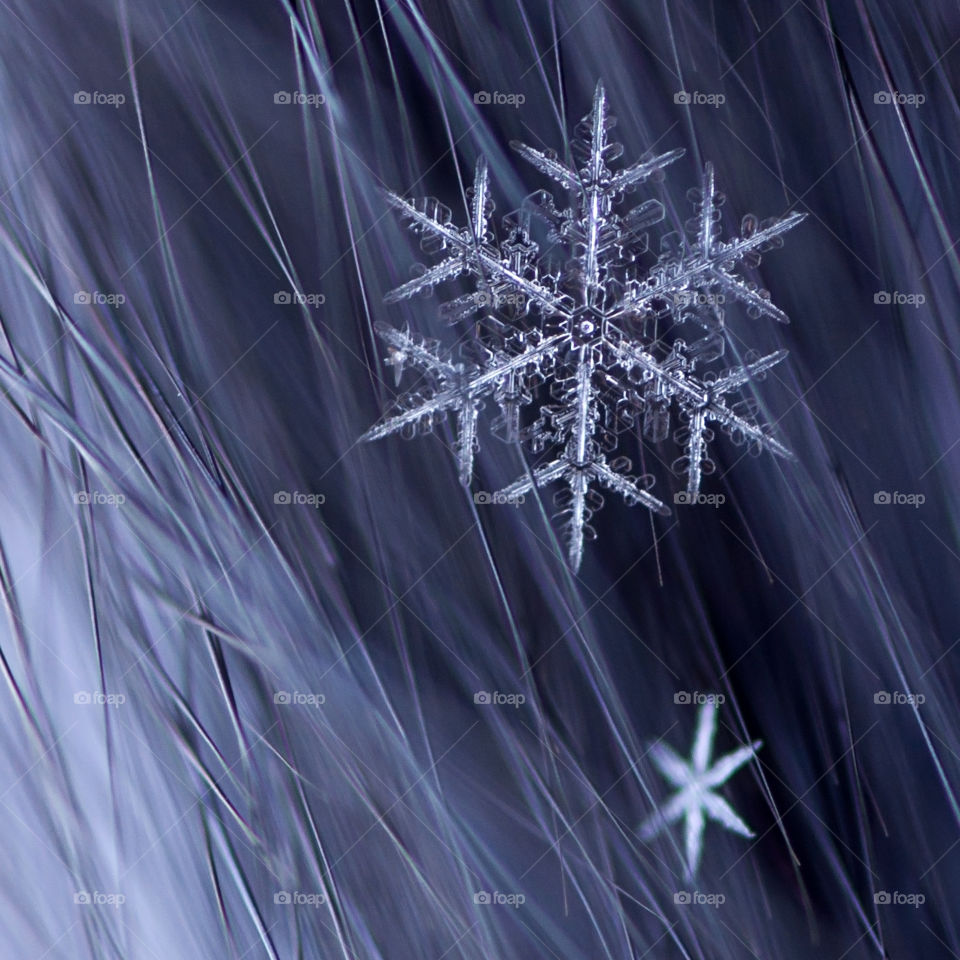 Snowflake in grass