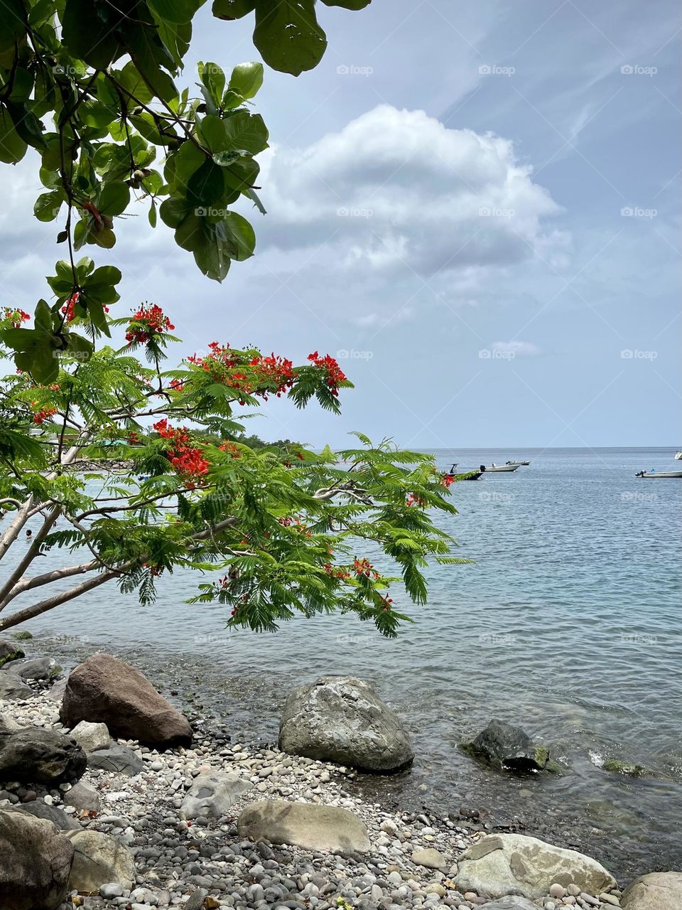 Landscape of a Caribbean seaside.