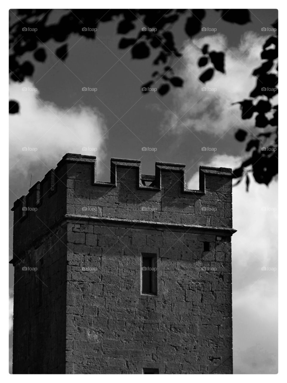 Castle . Tower