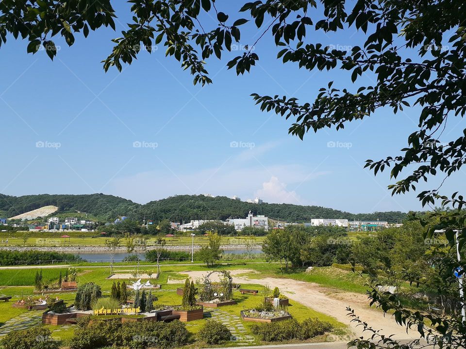 summer in korea