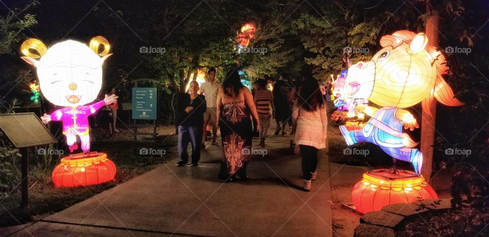 ILLUMINATION of Lights