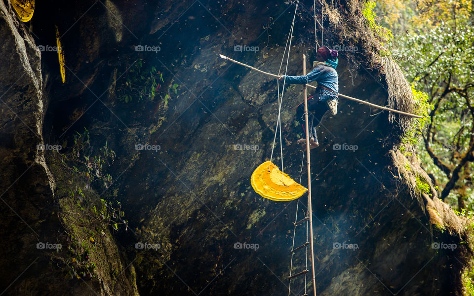 Struggle of collecting honey hunter at Pokhara, Nepal