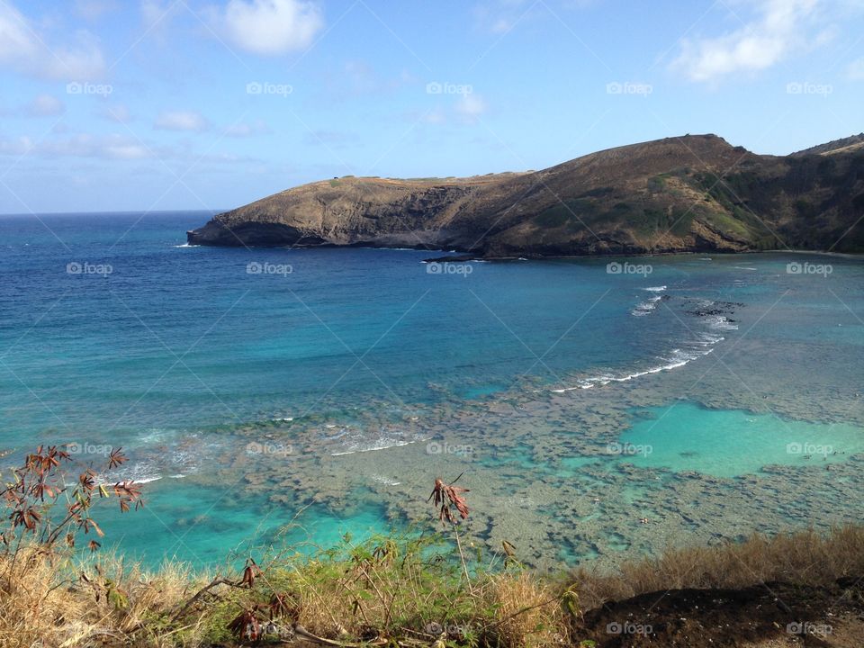 View of hawaii beach
