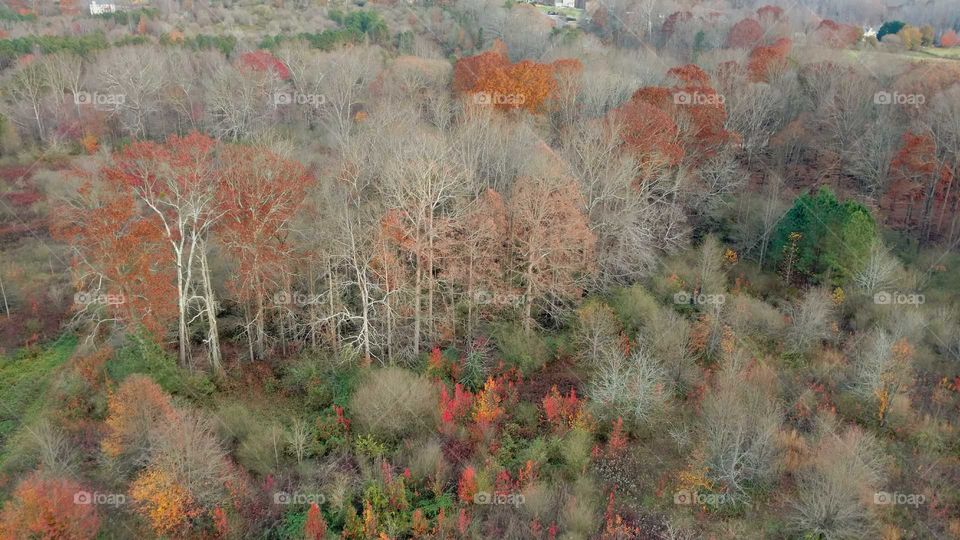 fall balloon ride