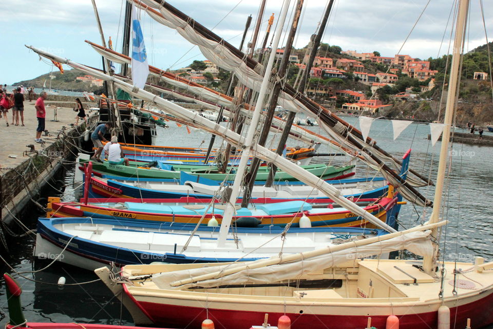 boats in port