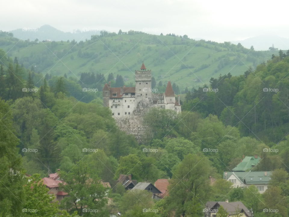 Castle in distance
