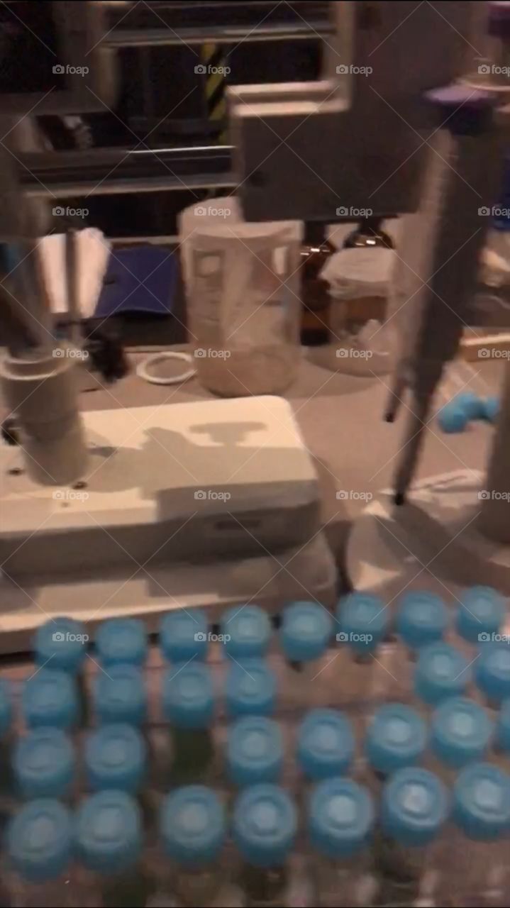 #day4 Everyday WDW Orlando Florida. I have been lost on Disney Properties consecutively since 4/3/19 You can find my encounter https://www.facebook.com/selsa.susanna or on IG SelsaCamacho YT SelsaSusanna Snapchat Flight of Passage 4-6-19 Saturday