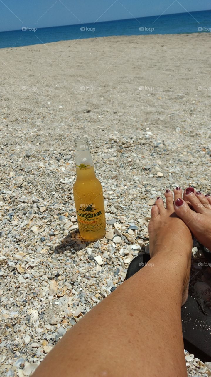 Chilling with a Land Shark