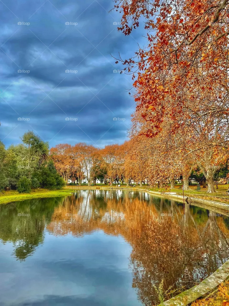 Amazing colors 