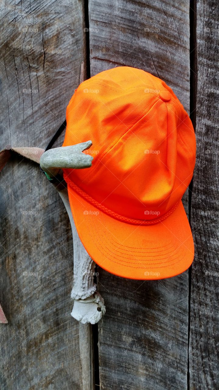 Close-up of orange cap