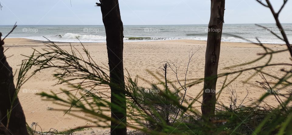 Hiding behind the tree and watching the waves of sea..Cool evening