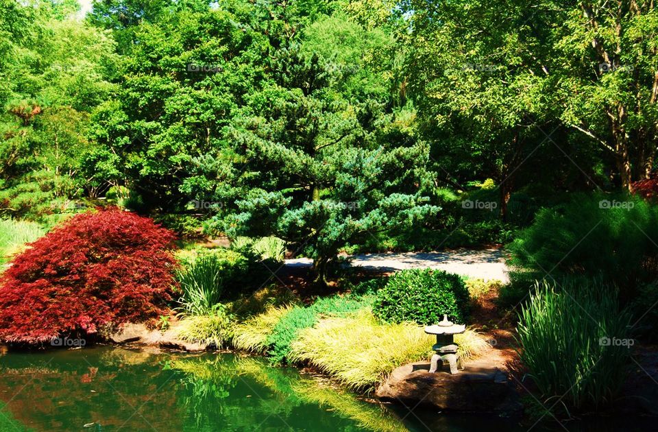 Pond with trees 