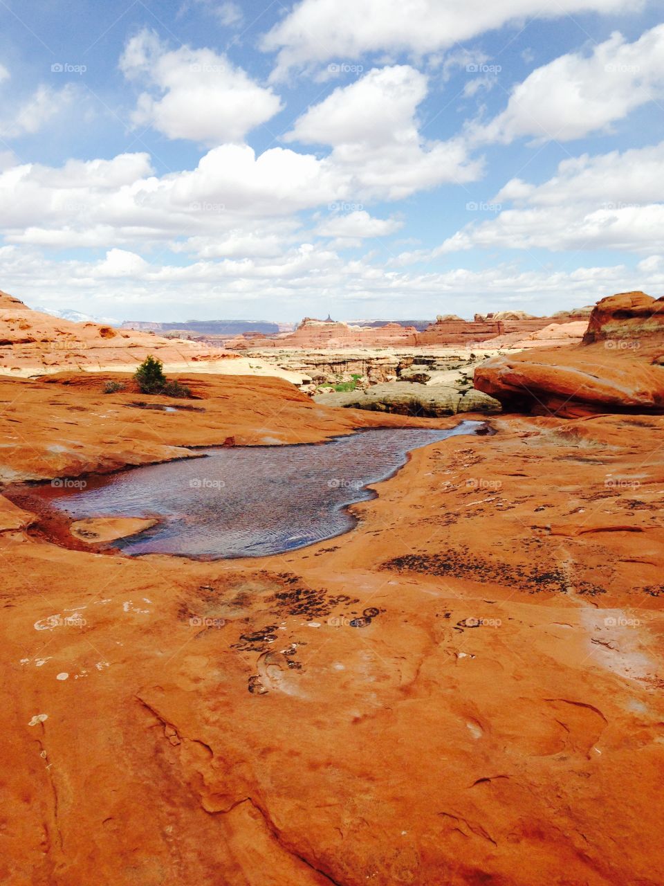 Cool water hole after rainstorm in Canyonlands