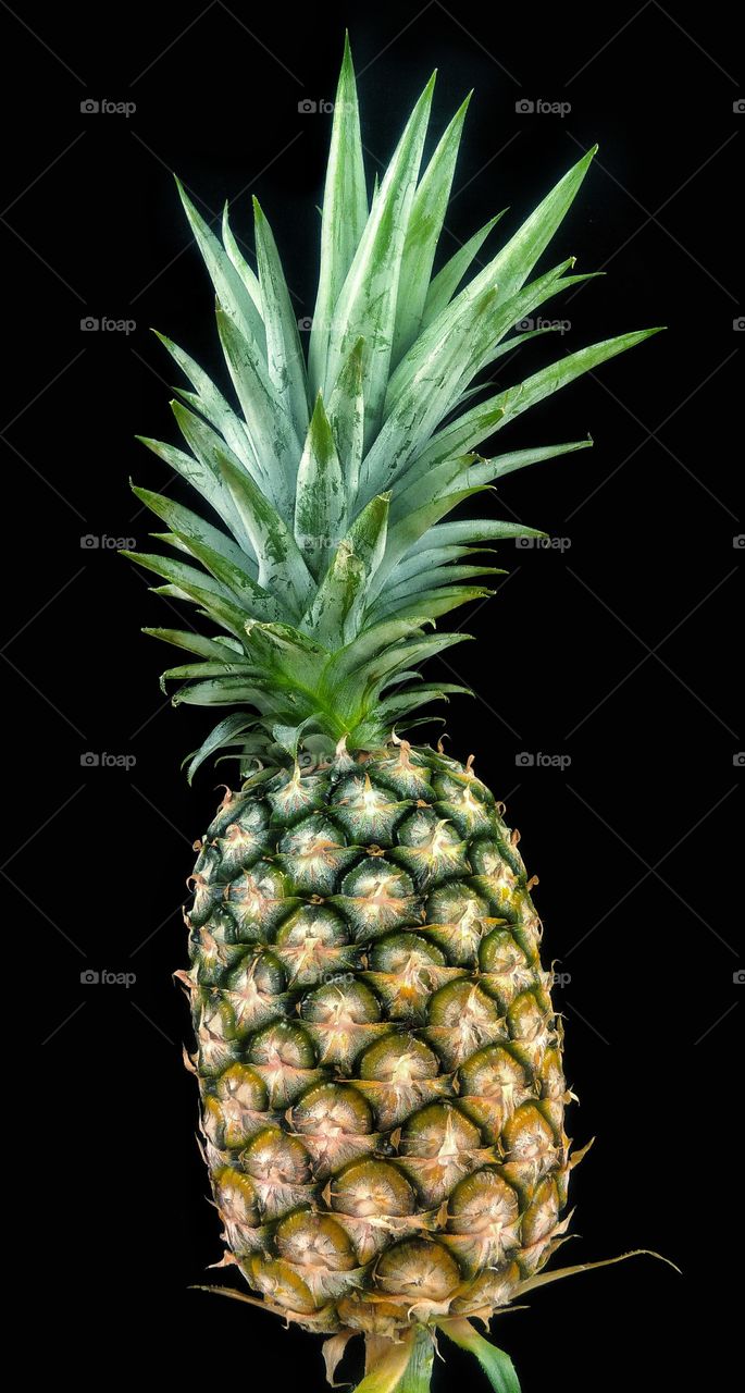 Fresh pineapple from the farm