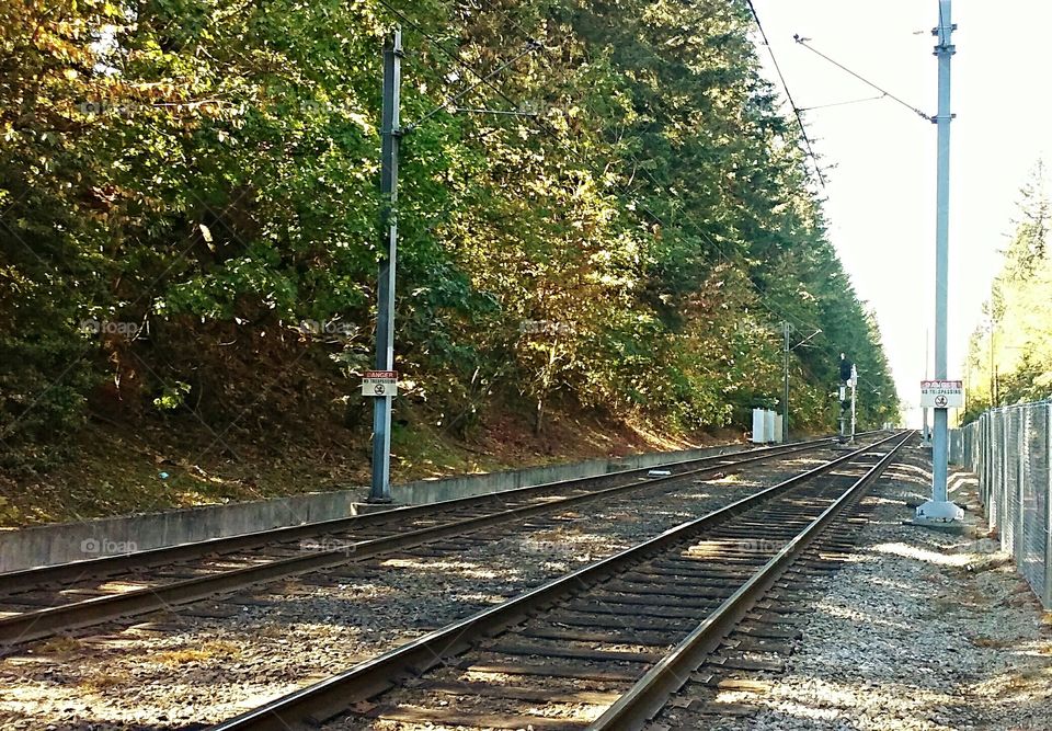 The Rails To The Life