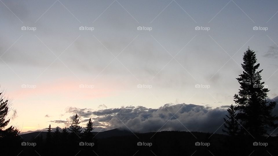 Landscape, Fog, Snow, Sunset, Dawn