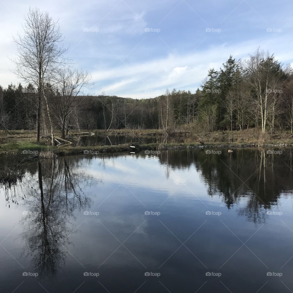 Pond, Upstate NY