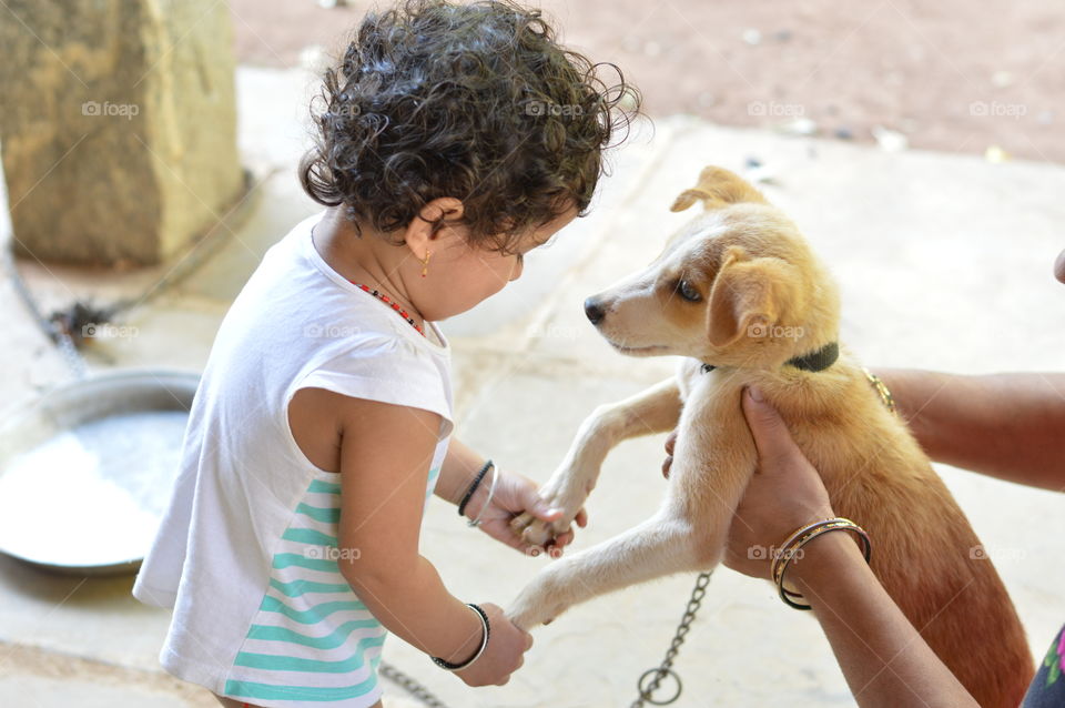 Cute puppy shaking hand and making friendship with a baby.