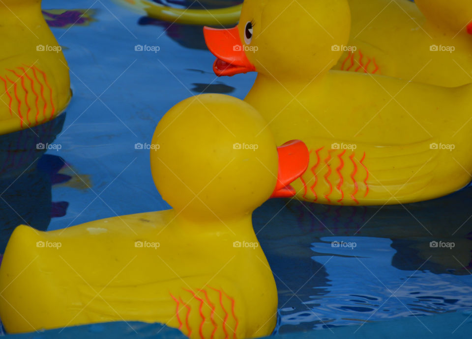 Yellow is my favorite color and it matches my disposition: cheerful and fun to be with, creative, critical of myself, and a perfectionist! Yellow is the best color to create enthusiasm for life and can awaken greater confidence and optimism! I love a challenge, particularly a mental challenge!