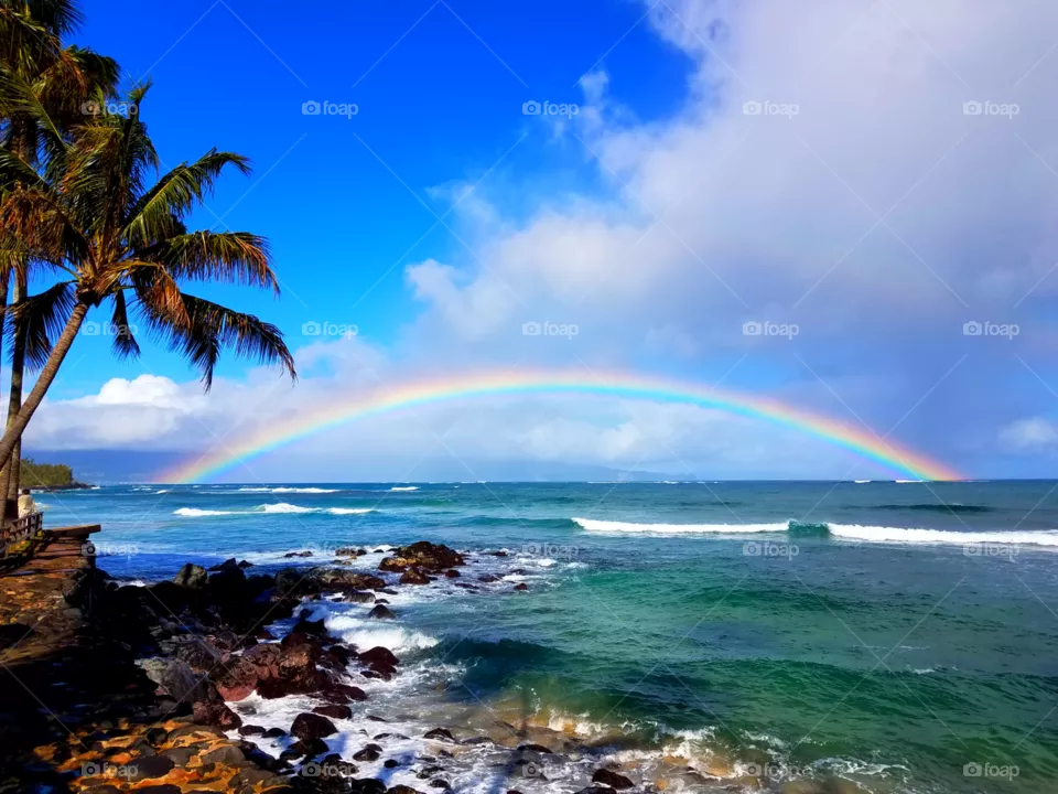 Rainbow