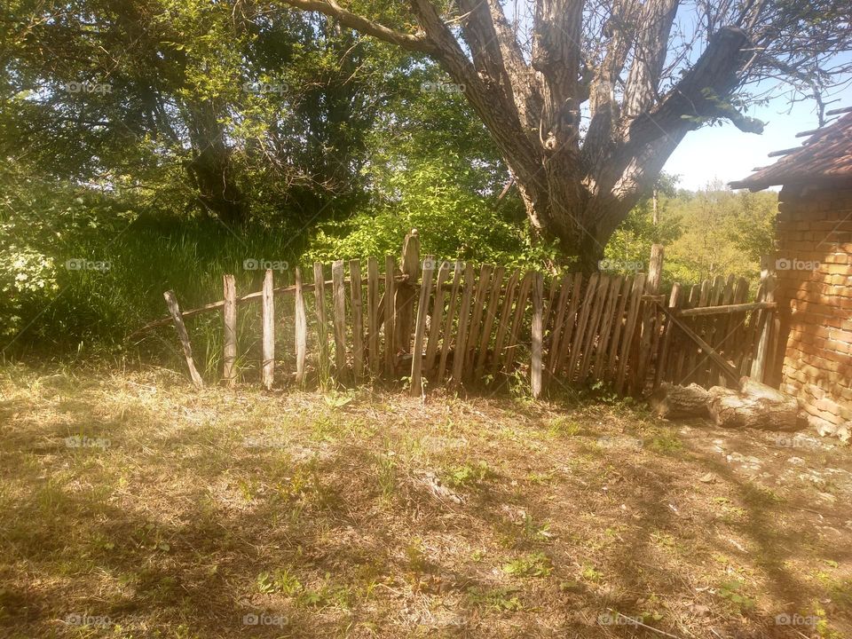 Old fence!