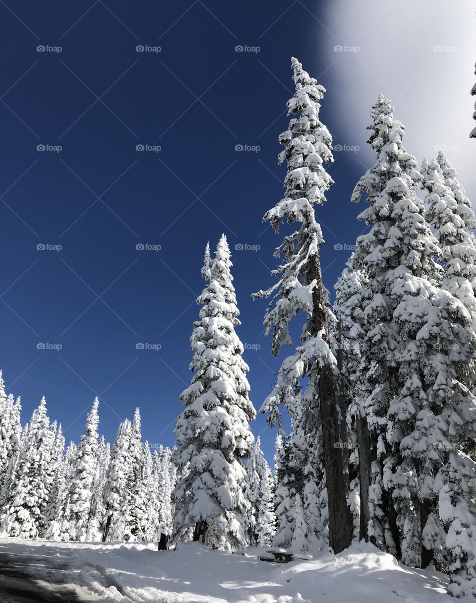 Snow, Winter, Frost, Cold, No Person