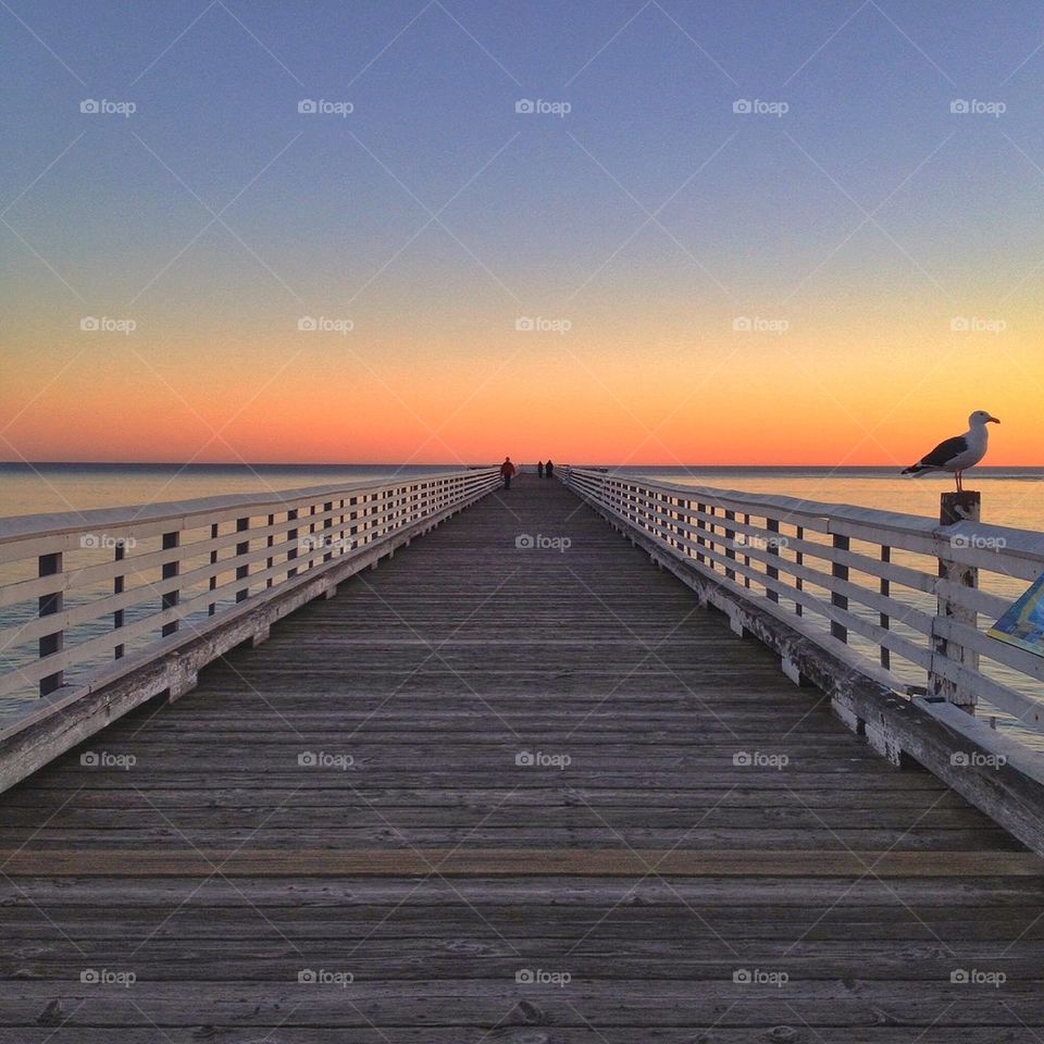 Bird perching on pier during sunset