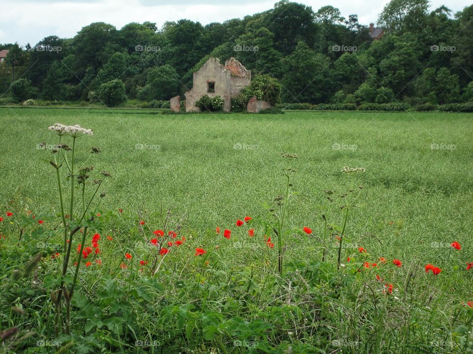 Countryside on my doorstep .. rumour has it this was an old Lepper house ?!?!