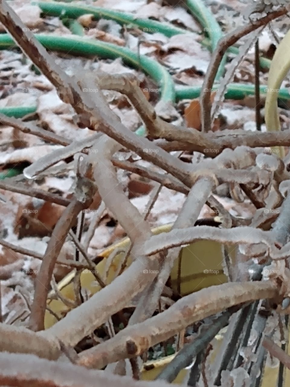 what you think it's cold outside? Naw just frozen solid! colder than you know what