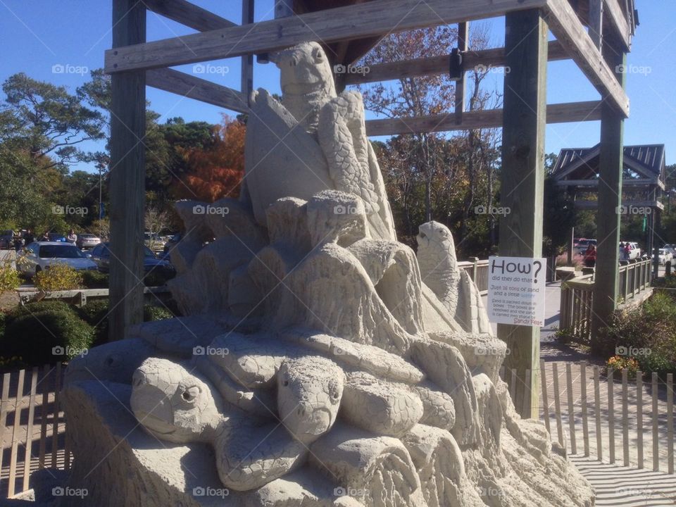 Turtle Sand Sculpture
