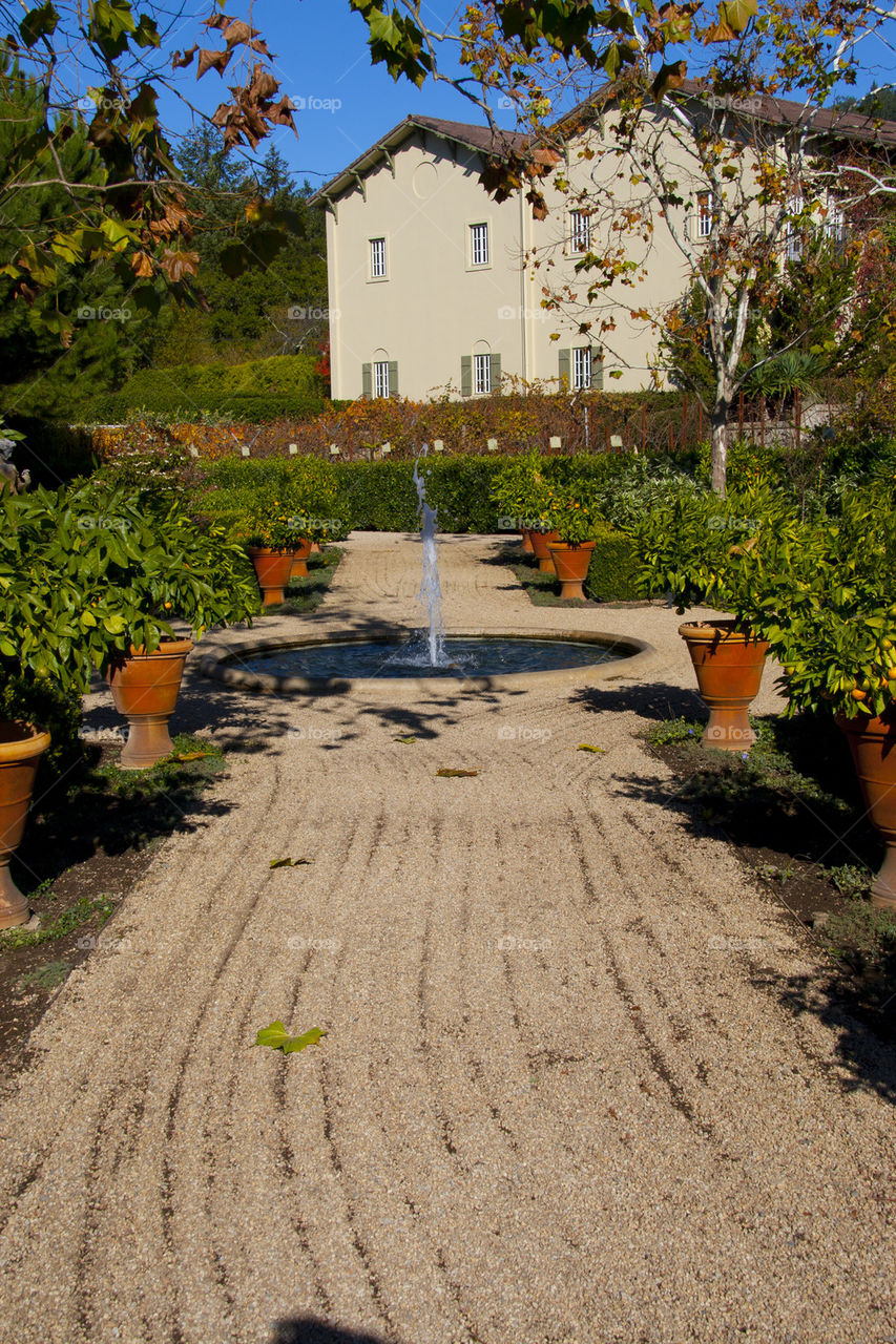 THE GARDEN AT CHATEAU ST. JEAN SONOMA VALLEY USA