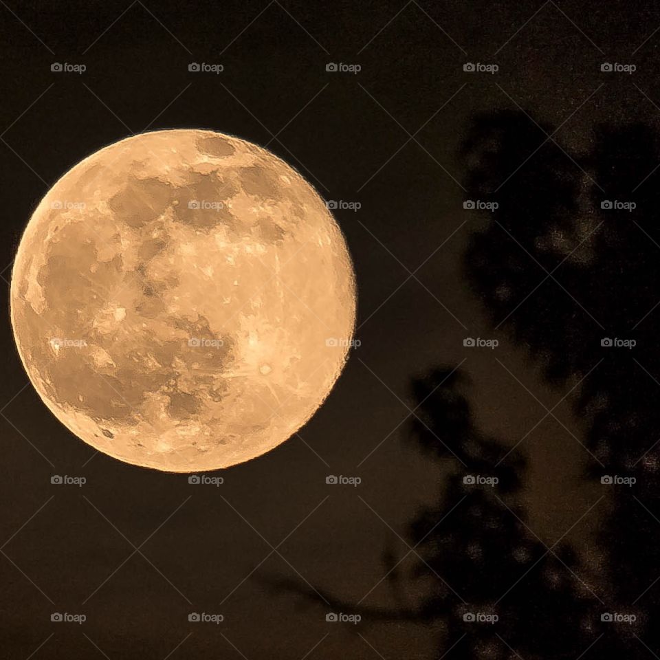 Strawberry moon. Strawberry moon 