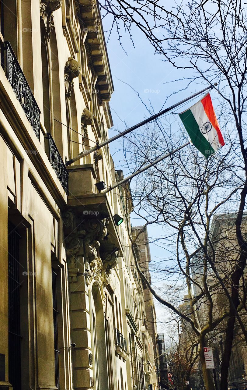 The Indian flag flying high