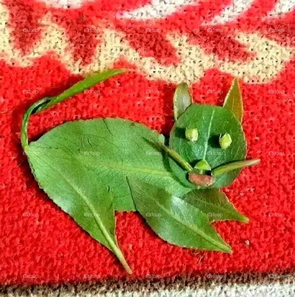 A very beautiful picture, and there is no better picture than it. There is no better picture of green herbs and colorful, red and white roses than it. Glory be to God, the natural and picturesque view, and there is no more